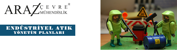 Wordpress Marketplace