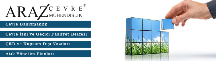 Wordpress Marketplace